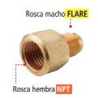 Codo bronce hembra UNF 1/2 NPT 1/2