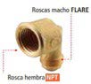 Coupling de bronce macho-hembra 1/2